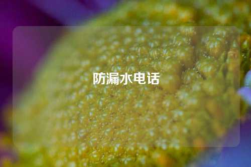 防漏水电话