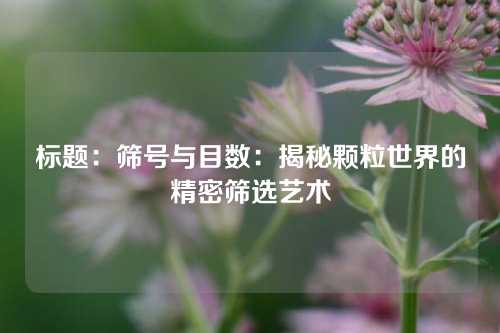 标题:筛号与目数:揭秘颗粒世界的精密筛选艺术
