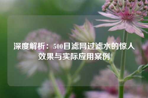 深度解析：500目滤网过滤水的惊人效果与实际应用案例