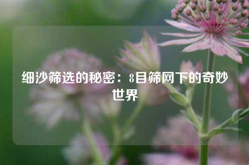 细沙筛选的秘密：8目筛网下的奇妙世界