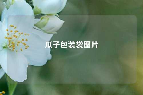 瓜子包装袋图片