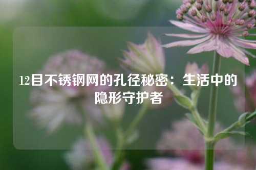 12目不锈钢网的孔径秘密：生活中的隐形守护者
