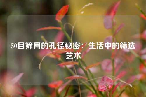 50目筛网的孔径秘密：生活中的筛选艺术