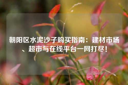 朝阳区水泥沙子购买指南:建材市场、超市与在线平台一网打尽!