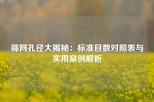筛网孔径大揭秘：标准目数对照表与实用案例解析