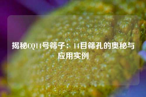 揭秘CQ14号筛子:14目筛孔的奥秘与应用实例