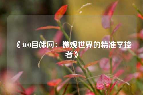《400目筛网:微观世界的精准掌控者》