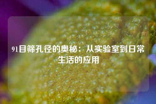 91目筛孔径的奥秘：从实验室到日常生活的应用