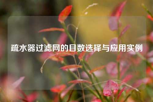 疏水器过滤网的目数选择与应用实例