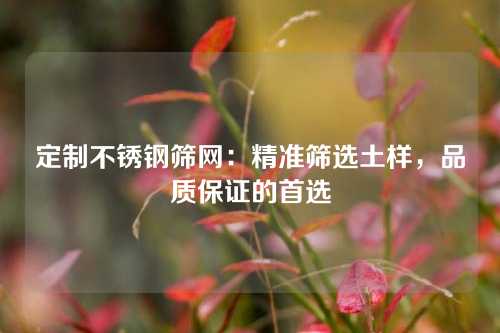 定制不锈钢筛网：精准筛选土样，品质保证的首选
