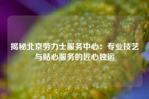 揭秘北京劳力士服务中心：专业技艺与贴心服务的匠心独运