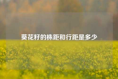 葵花籽的株距和行距是多少