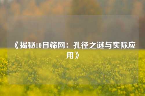 《揭秘10目筛网:孔径之谜与实际应用》