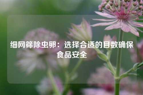 细网筛除虫卵：选择合适的目数确保食品安全