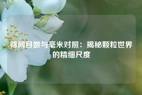 筛网目数与毫米对照：揭秘颗粒世界的精细尺度