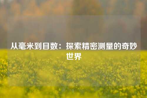 从毫米到目数：探索精密测量的奇妙世界