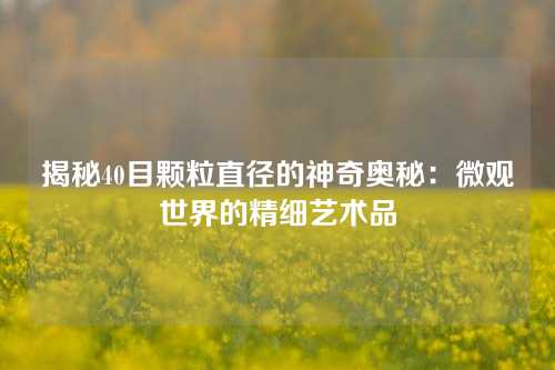 揭秘40目颗粒直径的神奇奥秘：微观世界的精细艺术品