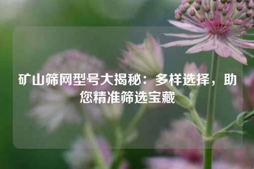 矿山筛网型号大揭秘：多样选择，助您精准筛选宝藏