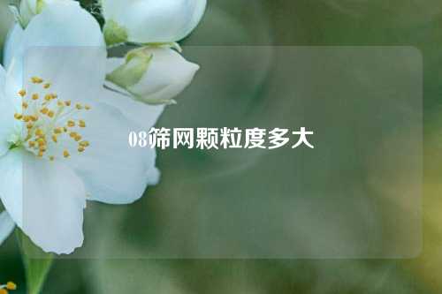 08筛网颗粒度多大