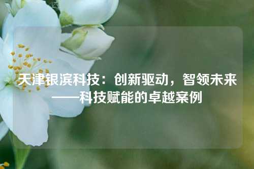 天津银滨科技:创新驱动,智领未来——科技赋能的卓越案例
