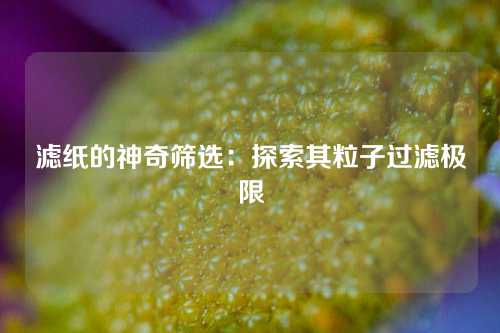 滤纸的神奇筛选：探索其粒子过滤极限
