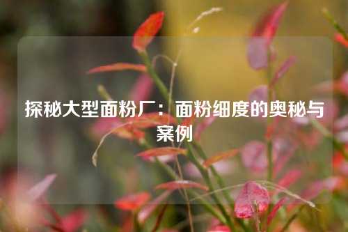 探秘大型面粉厂：面粉细度的奥秘与案例