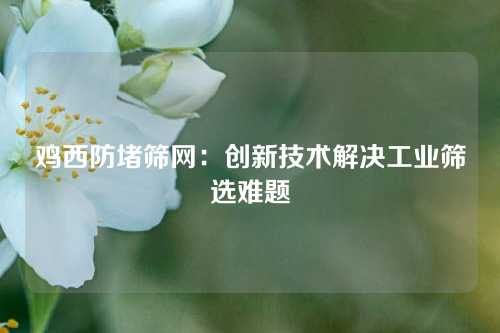 鸡西防堵筛网：创新技术解决工业筛选难题