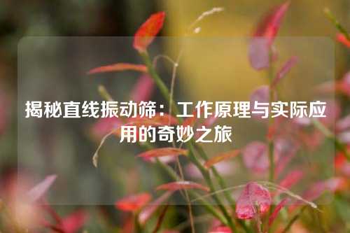 揭秘直线振动筛：工作原理与实际应用的奇妙之旅