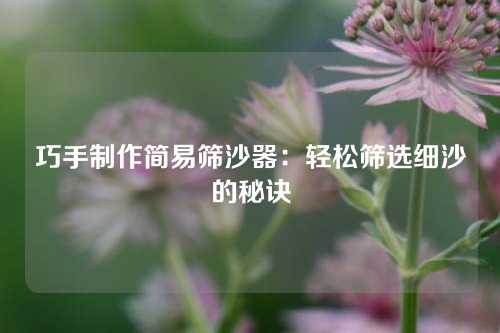 巧手制作简易筛沙器：轻松筛选细沙的秘诀