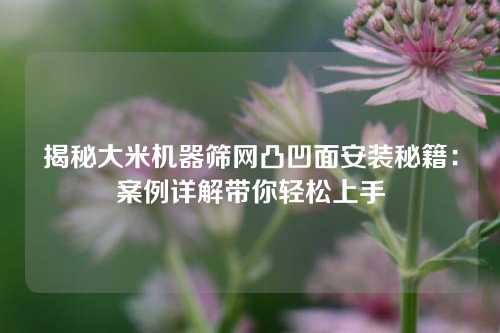 揭秘大米机器筛网凸凹面安装秘籍：案例详解带你轻松上手