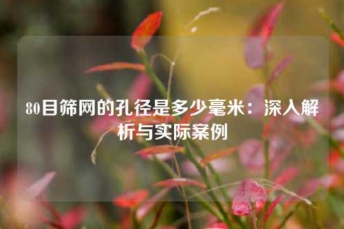 80目筛网的孔径是多少毫米：深入解析与实际案例