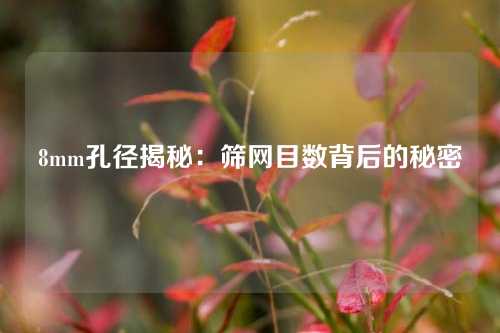 8mm孔径揭秘：筛网目数背后的秘密