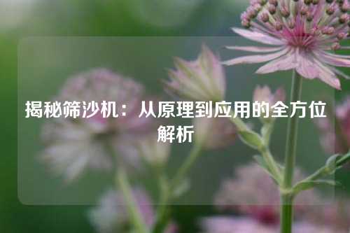 揭秘筛沙机：从原理到应用的全方位解析