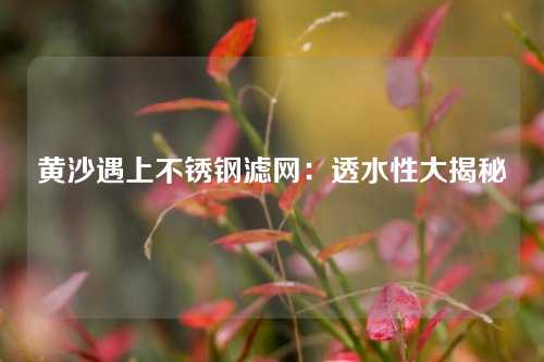 黄沙遇上不锈钢滤网:透水性大揭秘