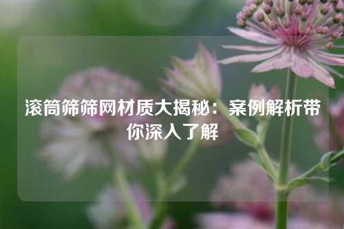 滚筒筛筛网材质大揭秘：案例解析带你深入了解