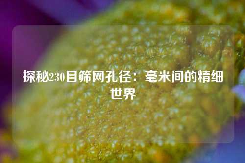 探秘230目筛网孔径：毫米间的精细世界