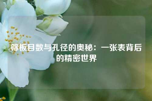 筛板目数与孔径的奥秘：一张表背后的精密世界
