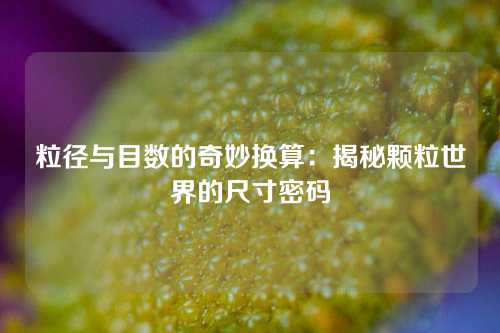 粒径与目数的奇妙换算：揭秘颗粒世界的尺寸密码