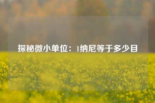 探秘微小单位：1纳尼等于多少目