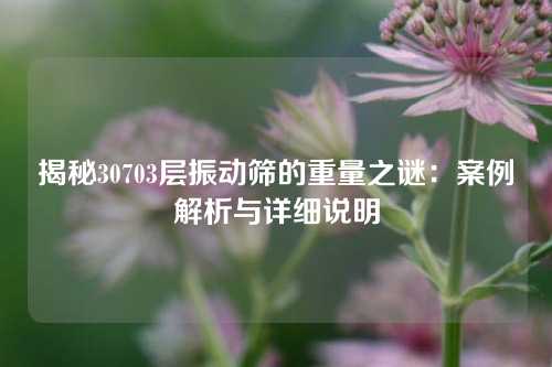 揭秘30703层振动筛的重量之谜：案例解析与详细说明