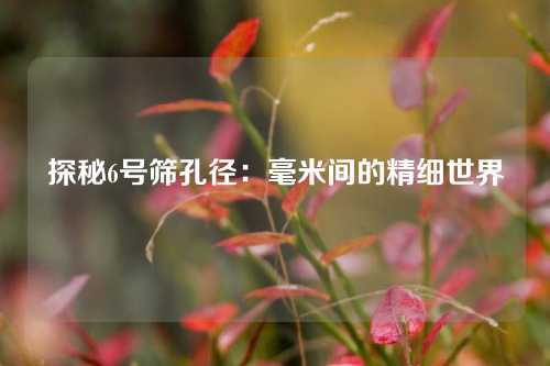探秘6号筛孔径：毫米间的精细世界