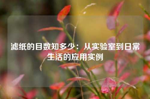 滤纸的目数知多少：从实验室到日常生活的应用实例