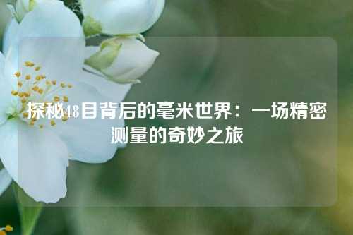 探秘48目背后的毫米世界：一场精密测量的奇妙之旅
