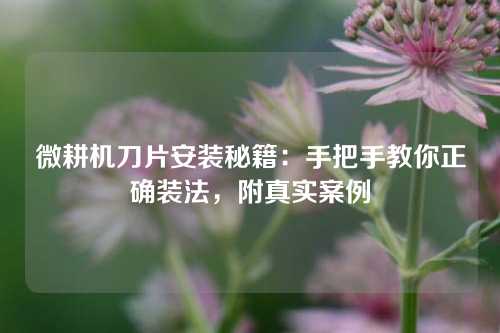 微耕机刀片安装秘籍：手把手教你正确装法，附真实案例