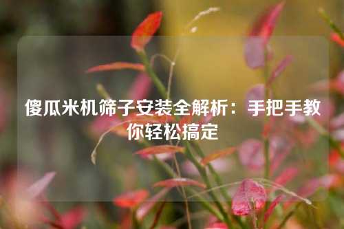 傻瓜米机筛子安装全解析：手把手教你轻松搞定