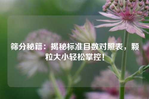 筛分秘籍：揭秘标准目数对照表，颗粒大小轻松掌控！