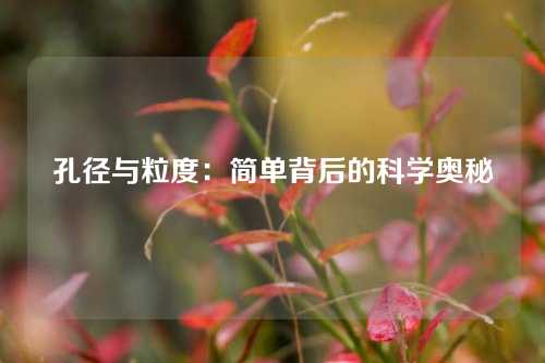 孔径与粒度：简单背后的科学奥秘