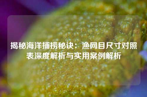 揭秘海洋捕捞秘诀：渔网目尺寸对照表深度解析与实用案例解析