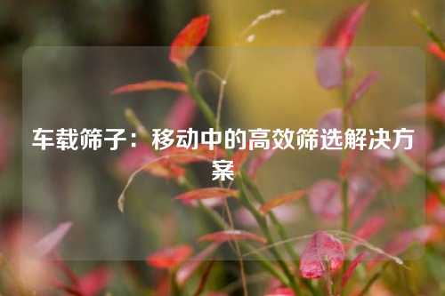 车载筛子：移动中的高效筛选解决方案