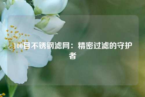 100目不锈钢滤网：精密过滤的守护者